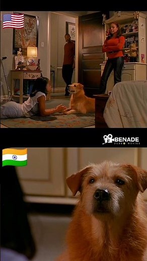Dr Dolittle 2 Comedy Scene | English & Hindi Dubbed Version