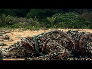 Countless poisonous snakes rushed to avenge, and climbed on the monitor lizard and bit it to death!