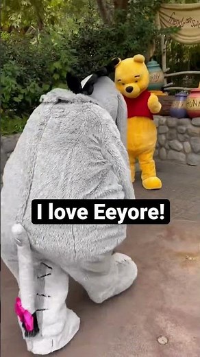 Eeyore is so sad! // Disneyland