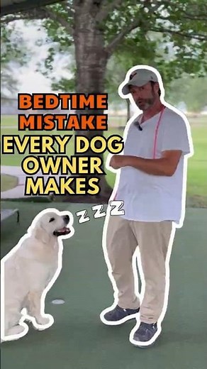 Why Your Dog Won’t Sleep at Night (And the Fix Is Simpler Than You Think)