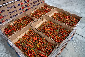 How AI is transforming produce and the future of farming