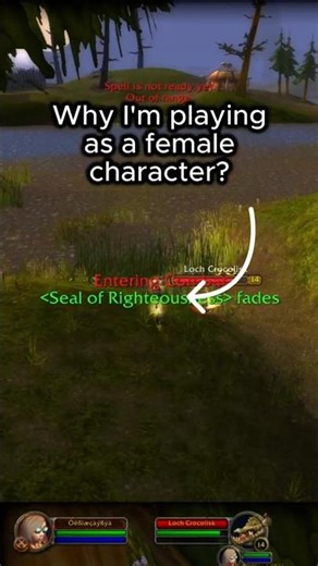 Female Character - WoW Classic Hardcore Paladin Levling