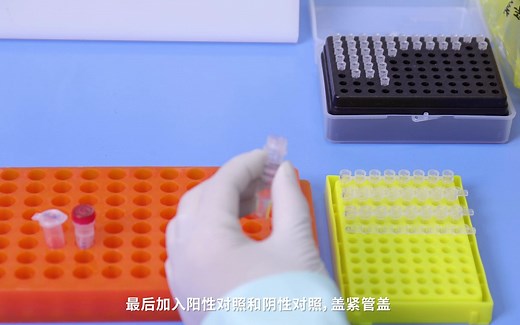 8种呼吸道病原体核酸多重实时荧光PCR检测试剂盒操作演示视频