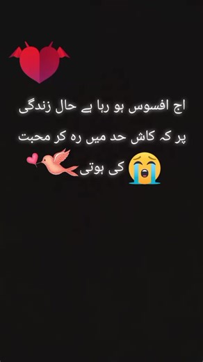 #noor#b#vrial_video