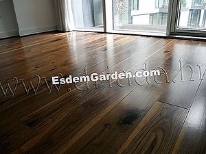 Bijeli trillijum, Trillium grandiflorum: kultivirati 🌿 Sve O Vrtu I Vrt Dizajn - 2025