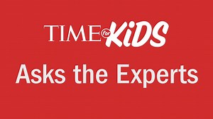 17K views · 69 reactions | Three TIME for Kids kid reporters interview Dr. Ingrid Katz of the Harvard Global Health Institute to learn about COVID-19 and what they can do to stay healthy: https://www.timeforkids.com/g56/ask-the-expert-katz/ | TIME | Facebook
