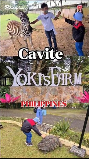 Yoki's Farm Adventure / Zoo! Giant Tortoises, Zebras & More! Family Fun in Cavite, Philippines #zoo