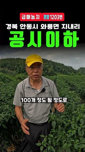 Andong, Gyeongbuk Land for Sale: $5 Million KRW! Urgent Sale of Small Agricultural Plot in a Plan...