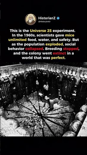 Universe 25 Experiment