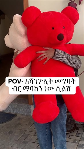 What do you say haa 😏#teddybear #fyp #viral #gift #foryou