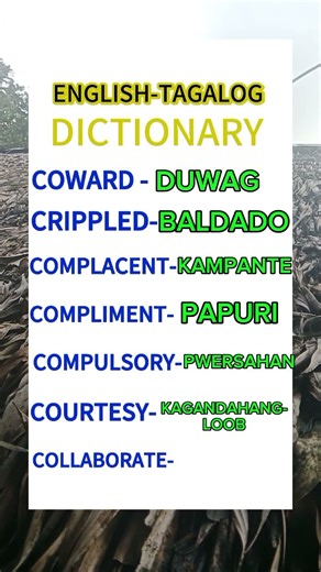 ENGLISH-TAGALOG DICTIONARY #dictionary