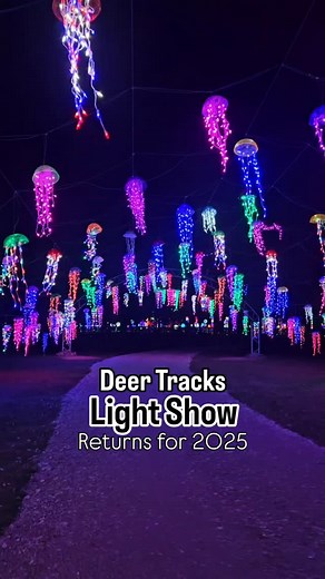 🎄BREAKING NEWS 🎄 We just got word - the drive-thru light experience is officially BACK for 2025 at @deertracksjunction Why you'll LOVE it 🚗 so many tunnels to drive through 🐫 semi-live nativity with REAL animals 🦖 fun themes - underwater, dinosaurs, & carnival Comment "lights" for info on opening day! | Grand Rapids Kids