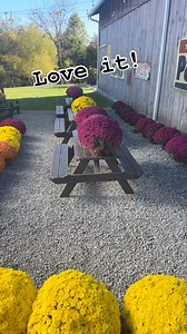 let’s do it! | Amish Country Market At The Feed Mill | Facebook