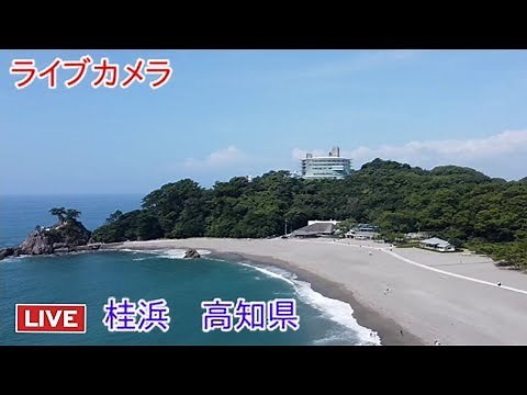 ライブカメラ 桂浜 高知県