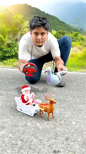 Anda wla Birds With Rc Santa Clause Sleigh and Reindeer gift Unboxing desi🤯