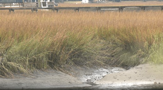 Mount Pleasant discusses update on wetland ordinance