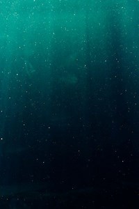 What Is A Hydrophone And How Does It Work?