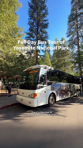Yosemite Grand Tour bus: one-day highlights tour