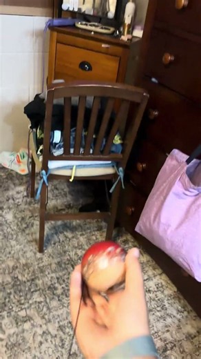 How to juggle spike kendama tutorial #hawaii # #kendama #kendamatricks #viral