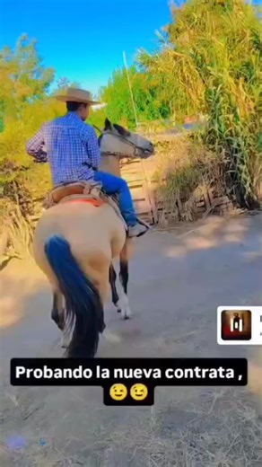 Sentimientos de un hijo del Meli: La música de Ángeles Tamayo