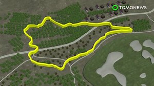 Pando, world's largest organism, is in danger of collapsing