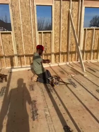 Exploring the LIVE Incentive Program Benefits