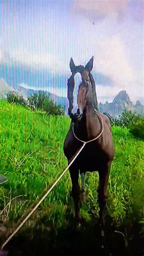 RDR2 how to find a thoroughbred in red dead redemption 2