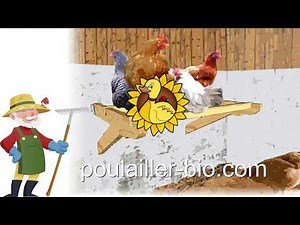 Construire des perchoirs pour poules - modèles | Poulailler bio