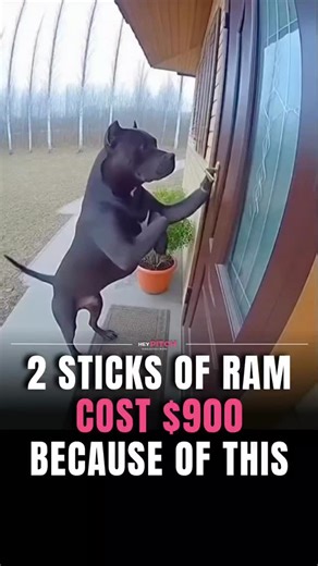 Startups | Tech | AI on Instagram: "RAM prices feel completely out of touch with reality right now, and it has nothing to do with gamers or PC builders. Al models are eating up the global memory supply. Data centers running massive models 24/7 are stockpiling DRAM at a scale the consumer market has never had to compete with. Chipmakers are also shifting production toward high-margin memory like HBM for Al workloads, leaving far less capacity for everyday RAM. When only a few companies control th