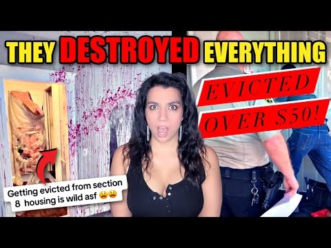 The Destruction Left Behind After Eviction Is Worse Than Anyone Expected