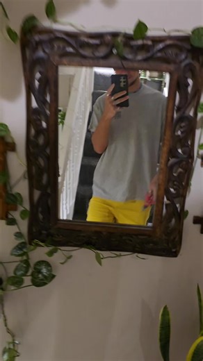 Chopping and Propagating Scindapsus Pictus