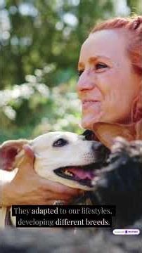 The Science of Dog Domestication: DNA, History, and the First Canines