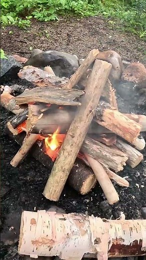Aventure Autonome en Forêt - Épisode 1 - Un aperçu #aventure #camping #campfire