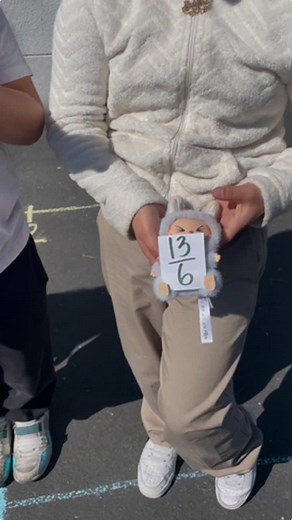 Engaging Student Number Line Activity for Teaching Fractions