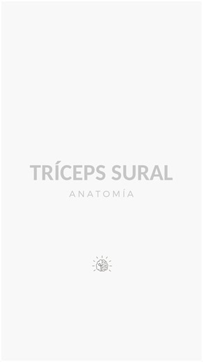 Repaso anatómico del tríceps sural 👁️ #triceps #musculo #anatomiahumana | Dubium