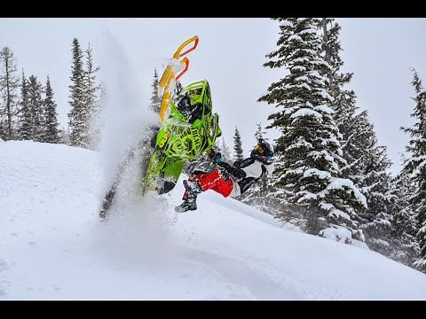 146 Boosted Cat Can Do Backflips On Flat Ground