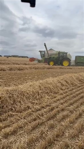 Proper work today! | Rupert Lowe