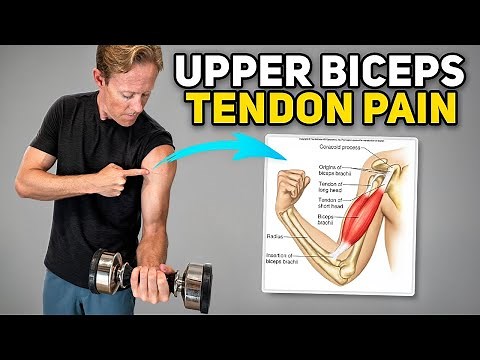 Upper Biceps Tendon Exercises (Proximal Biceps Tendinopathy)