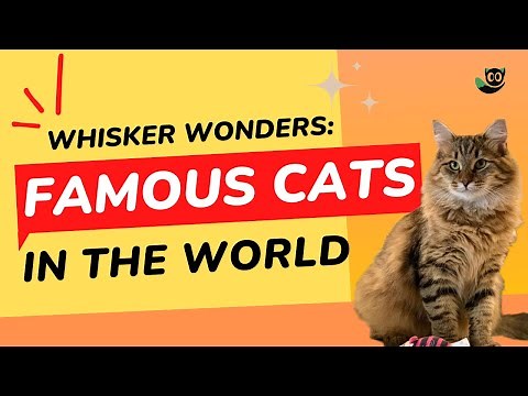 Whisker Wonders: Dive into History with the Top 15 Most Famous Cats