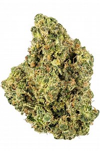 Gorilla Kush Strain - Hybrid Cannabis Review, 21.09% THC,5.24mg/g Limonene