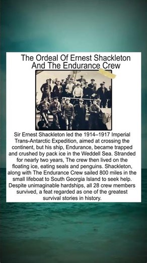 The Ordeal of Ernest Shackleton and The Endurance Crew #truestory #facts #shortvideo