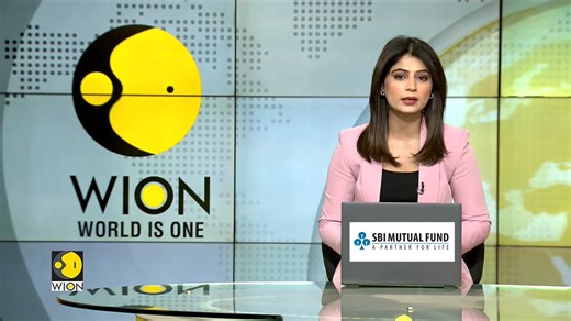 Pet parade steals the show at Bolivian carnival Furry friends stun crowds in colourful costumes Samiksha Srivastava has more | WION