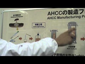 AHCC Production Process Overview