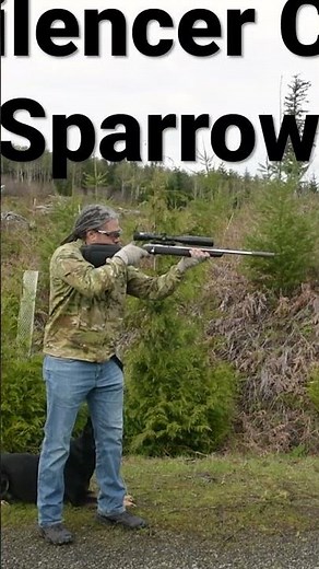 Thunder Beast 22 Takedown vs SilencerCo Sparrow