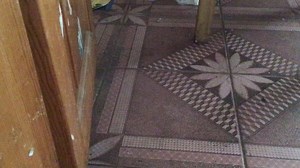 完整版蝈蝈叫声