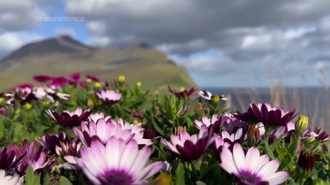 Faroe Islands in the remote north Atlantic perfect destination for a dramatic 'coolcation'
