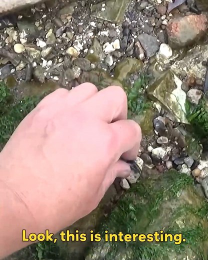 I Wasn't Expecting Such A Long Pipe Stem! | Nicola White Tideline Art