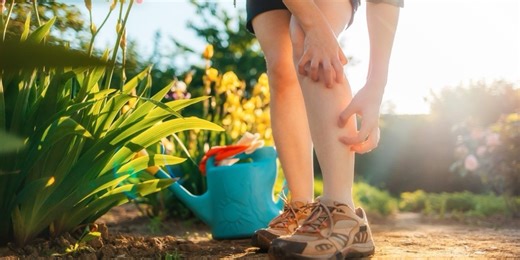 9 Best Plants That​ Repel Mosquitoes Naturally, Experts Say — Best Life