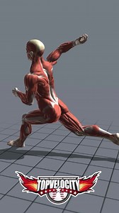 3X Pitching Mechanics Anatomy🦴 📌These are 5 position that elite pitchers achieve to not only throw hard but throw healthy. The timing and speed through these position is key🔑 🔗Signup for Remote Training to learn more www.TopVelocity.net/patreon | TopVelocity.net