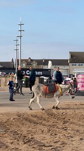 A charming clip from just a few weeks ago captures John Nuttall and his donkeys arriving at the beach. Each donkey is deeply loved and well cared for, making them a wonderful asset to the resort. They’re a cherished part of the heritage and tradition of the English seaside! #skegness #donkeys #seaside | GO Skegness